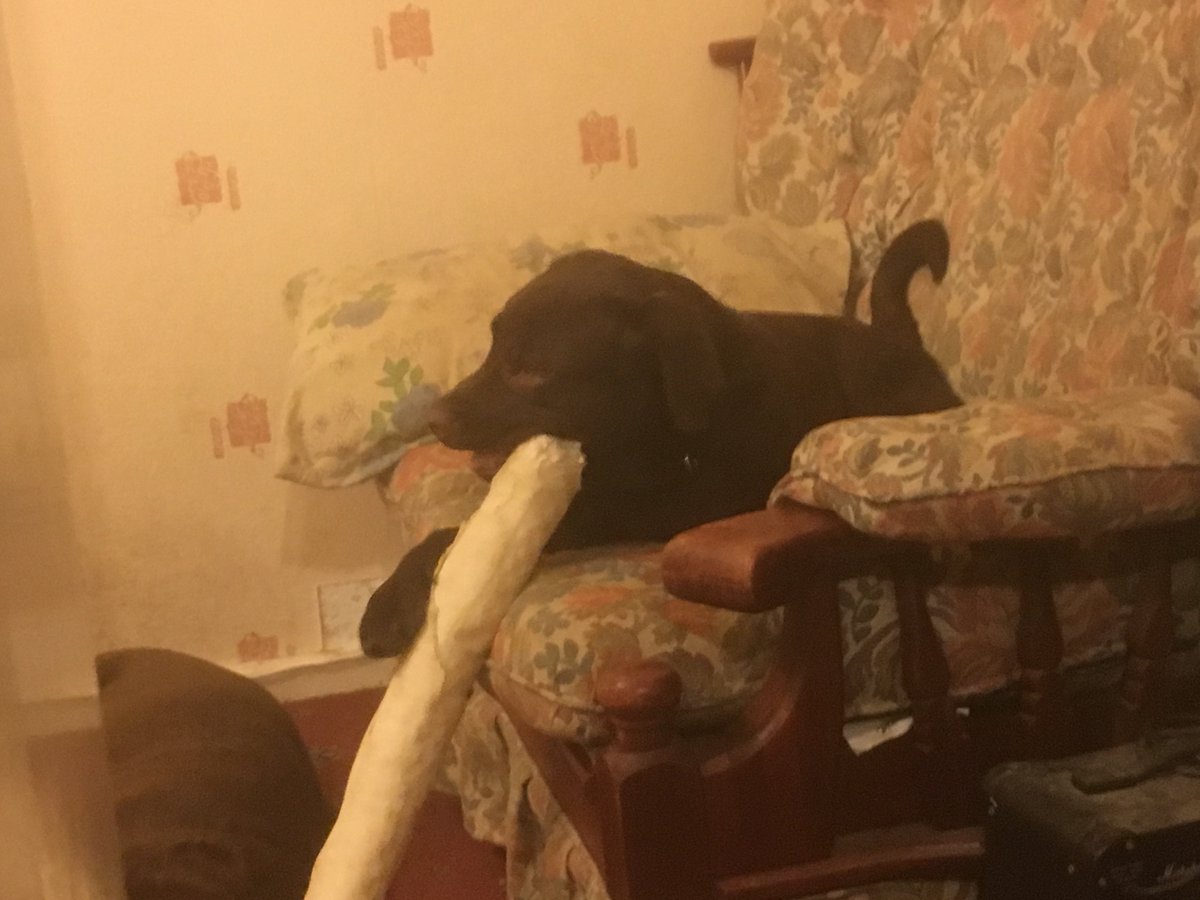 The Criminal Network tweet media