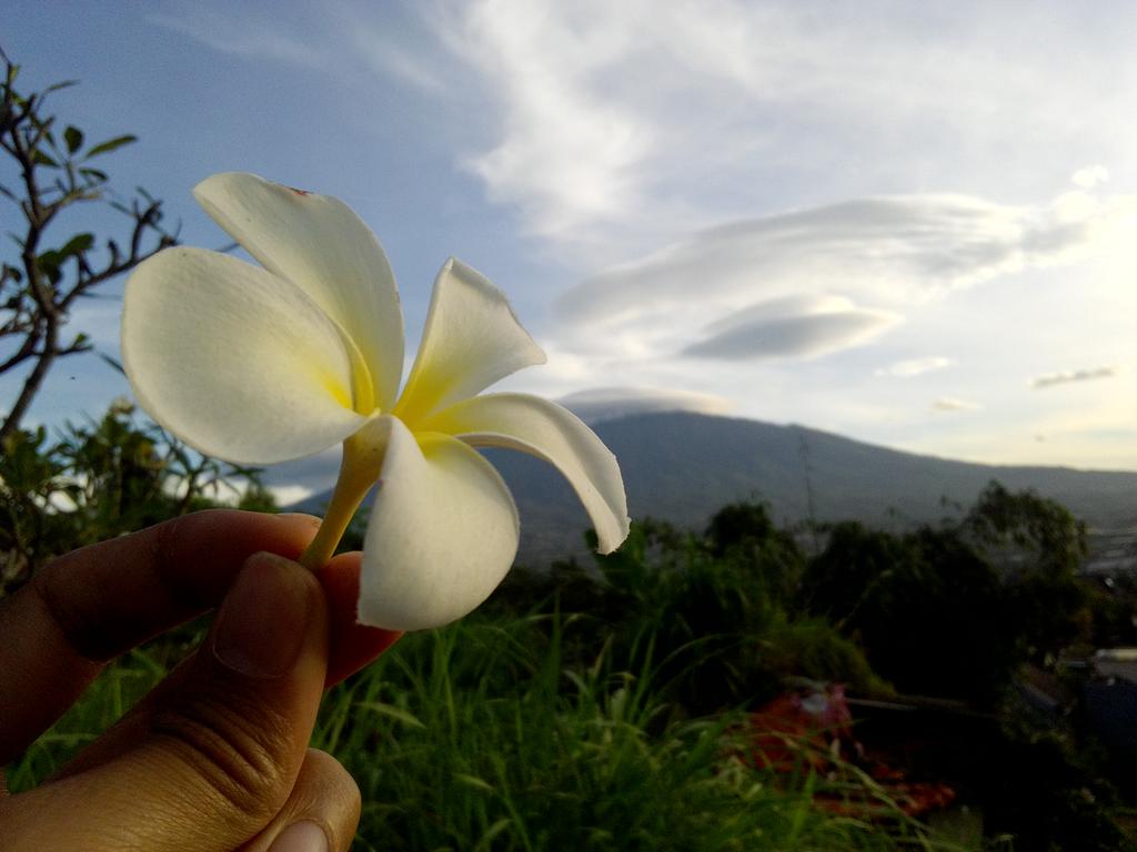ImagineRiz's tweet photo. Untukmu... iya.... kmu @kenupick :D https://t.co/OCFOfkJExT