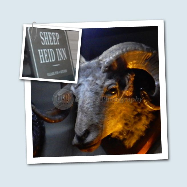 Day 26/365 Established 1360
bit.ly/2kboWUi
<a href="/Sheepheid/">Sheep Heid Inn</a>