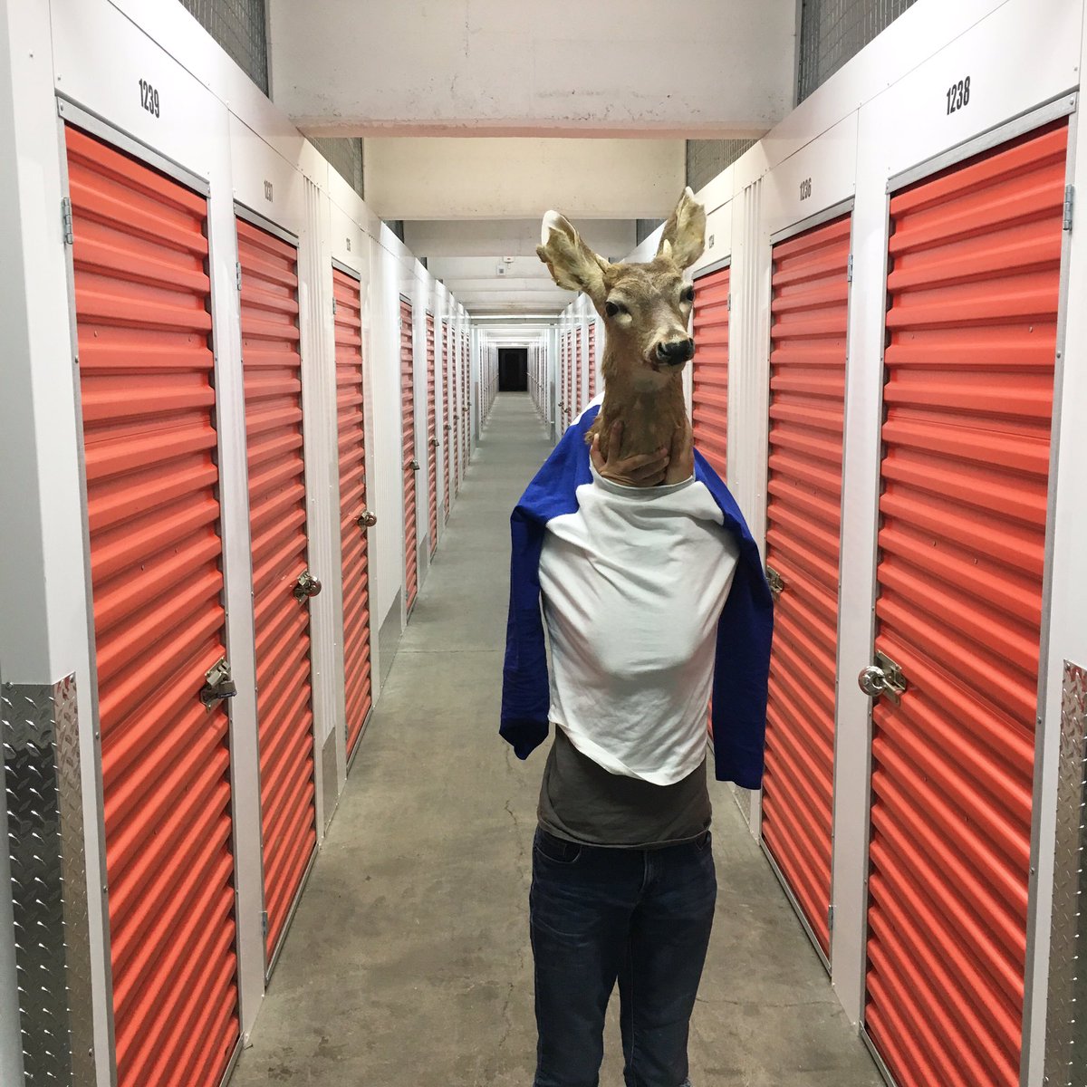 todd wemmer (@toddwemmer) on Twitter photo My son wanted me 2 tweet this pic we took after we rummaged around in our storage unit <a href="/NightValeRadio/">Night Vale podcast</a> #scarydeer My son wanted me 2 tweet this pic we took after we rummaged around in our storage unit <a href="/NightValeRadio/">Night Vale podcast</a> #scarydeer
