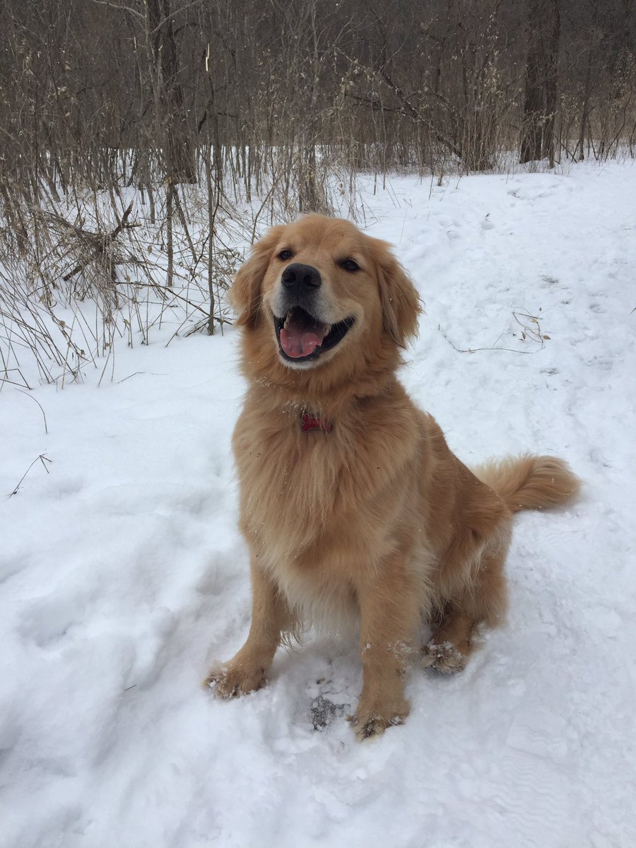 GoldGord's tweet photo. I love going on adventures!! https://t.co/8cZ100INjJ