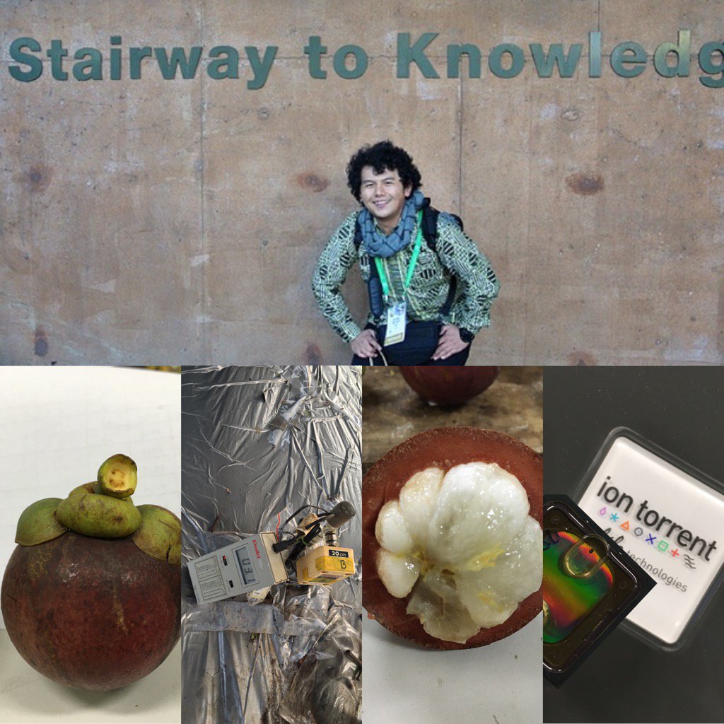 matradeden's tweet photo. Hi,Assalamulaikum.I'm Deden, I'm an #actuallivingscientist studying #PhysiologicalDisorder in #mangosteen by #RNASeq https://t.co/lTcfs5d1NC