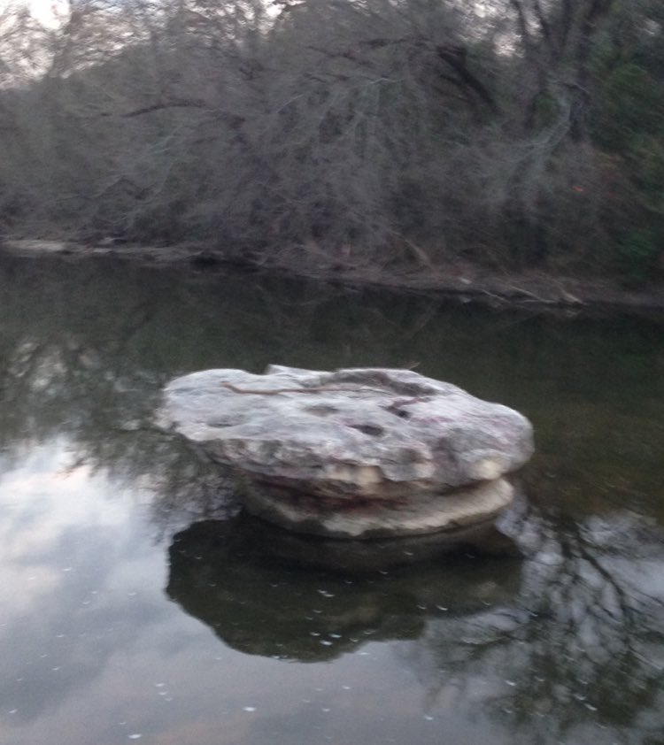 flday2003's tweet image. Round Rock Texas was originally called Brushy Creek Texas #Question10 #FDOM17 #TXST