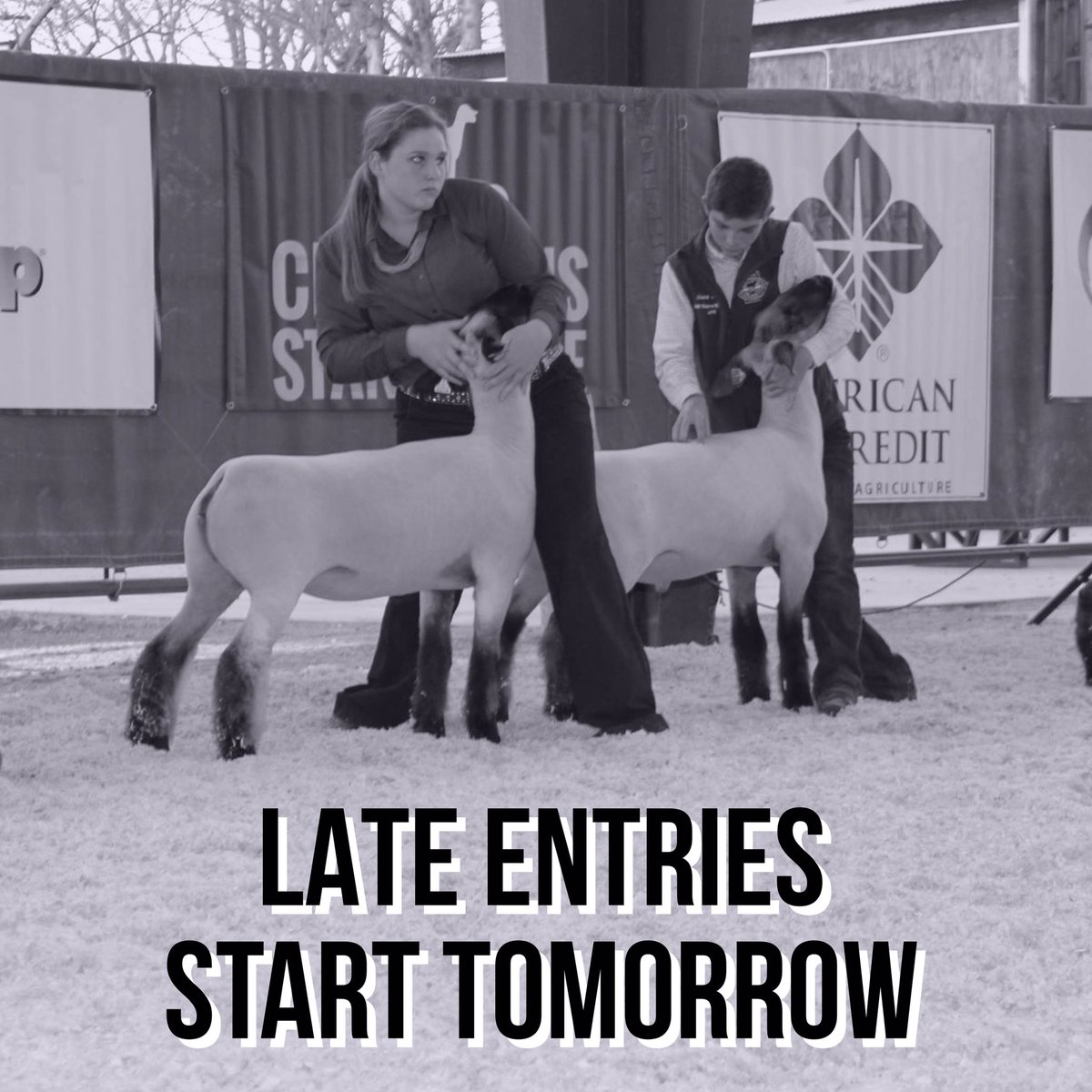 Late entries start tomorrow! Visit wbjls.fairwire.com today to avoid extra fees. All entries close on February 12. #westernbonanza2017