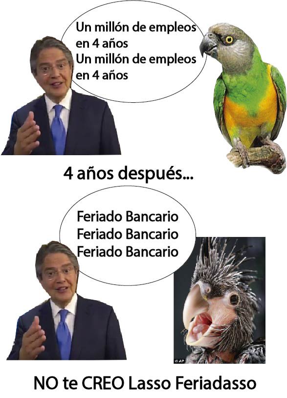 mariamolesta's tweet photo. Este es Lasso en #DialogoPresidencial #Dialogo2017
un loro banquero
#1MillonDeEmpleos en 4 años
4años después...
Feriado Bancario
#Lorasso https://t.co/XQMr1TuJkk