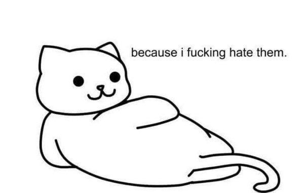 GirlsNoteBook's tweet photo. when I hear people don't like me https://t.co/7jUm9zraQw