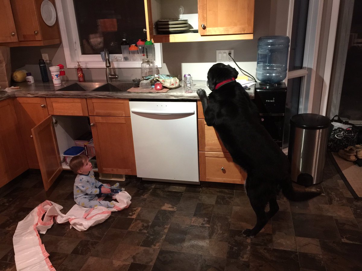 heathermaeohara's tweet photo. Guess I got a little distracted watch #LadyGaga during #SuperBowl half time show! #BadParker #BadToby https://t.co/I2wMmROSPO