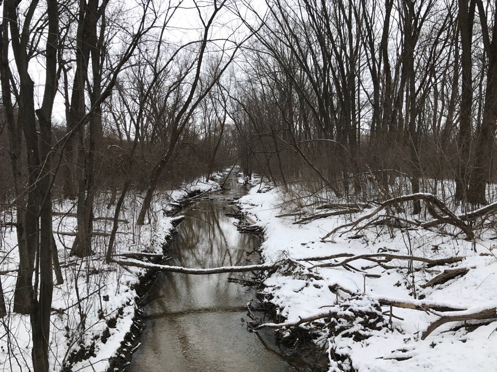 Winter is a good time to walk and think of what life is