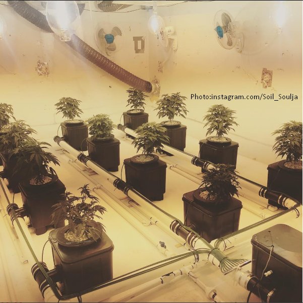 slucketbuckets's tweet image. 12 site #Posiflow by #Slucket! 
#rdwc #dwc #mmj #mmmp #ommp #goodvibes #hightimes #sesh #shatter #superbowl #party

SlucketBuckets.com