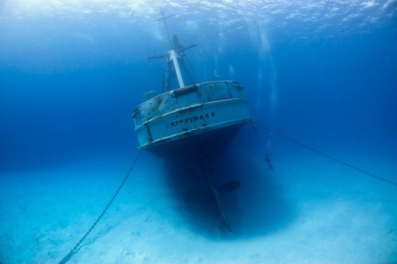 ShippedShop tweet picture