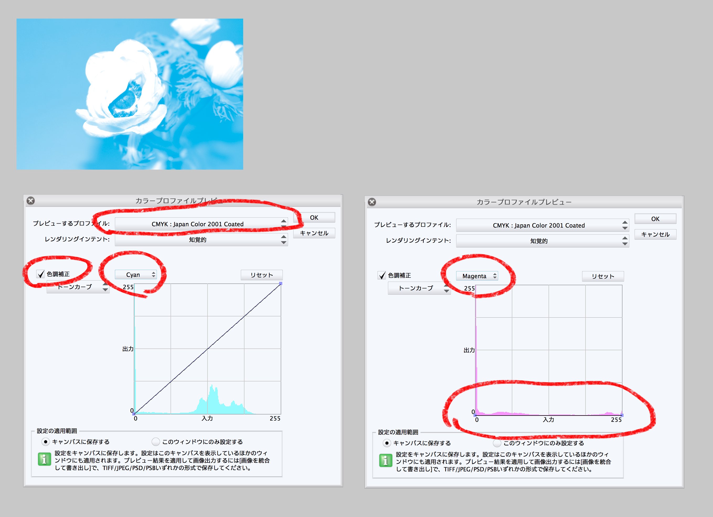井上のきあ Eucarya 色の大事典イラレデザインベーシック クリスタのcmyk 分版 カラープロファイルでイキにするチャンネル以外を寝かせてcmykで書き出して分版という手もあります Photoshopで開くと該当チャンネル以外は空だし 乗算で合体すると元に戻る