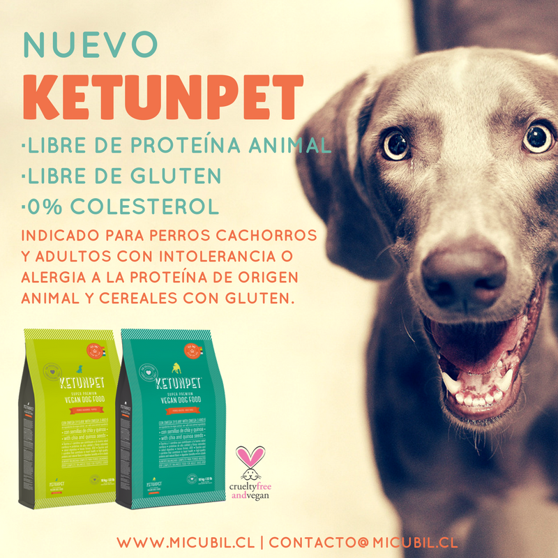 NUEVO! Alimento para #perros libre de proteínas de origen animal, gluten y colesterol: bit.ly/Veg1KP #vegano #CrueltyFree