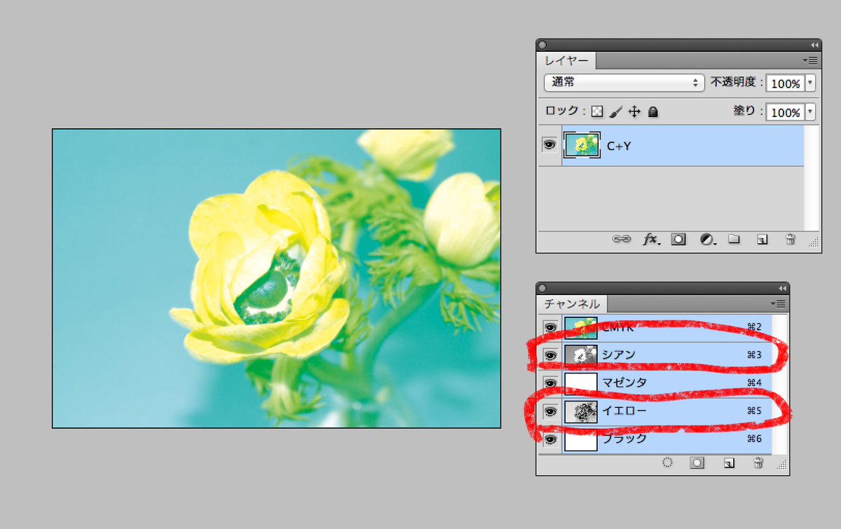 井上のきあ ライフライクボックス京都 イラレデザインベーシック クリスタのcmyk分版 カラープロファイルでイキにする チャンネル以外を寝かせてcmykで書き出して分版という手もあります Photoshopで開くと該当チャンネル以外は空だし 乗算で合体すると元に