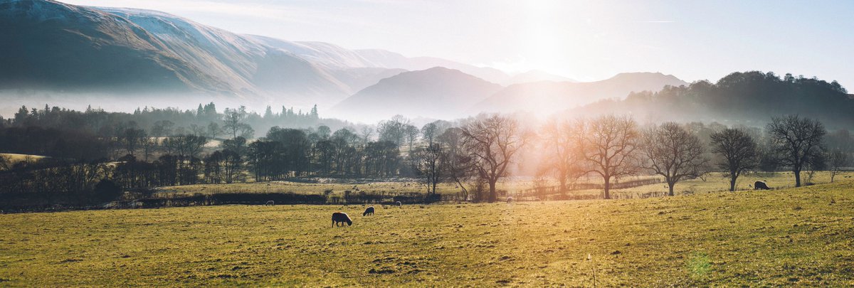 Lazy morning in Lake District #outdoor #landscape #freedom #lazymorning #lakedistrict #photo #canon  #printworkslondon #uk #NatureRepublic