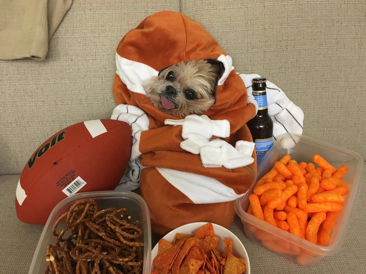 MarnieTheDog's tweet photo. Ready 2 watch new commercials day https://t.co/eOL95nj8ly