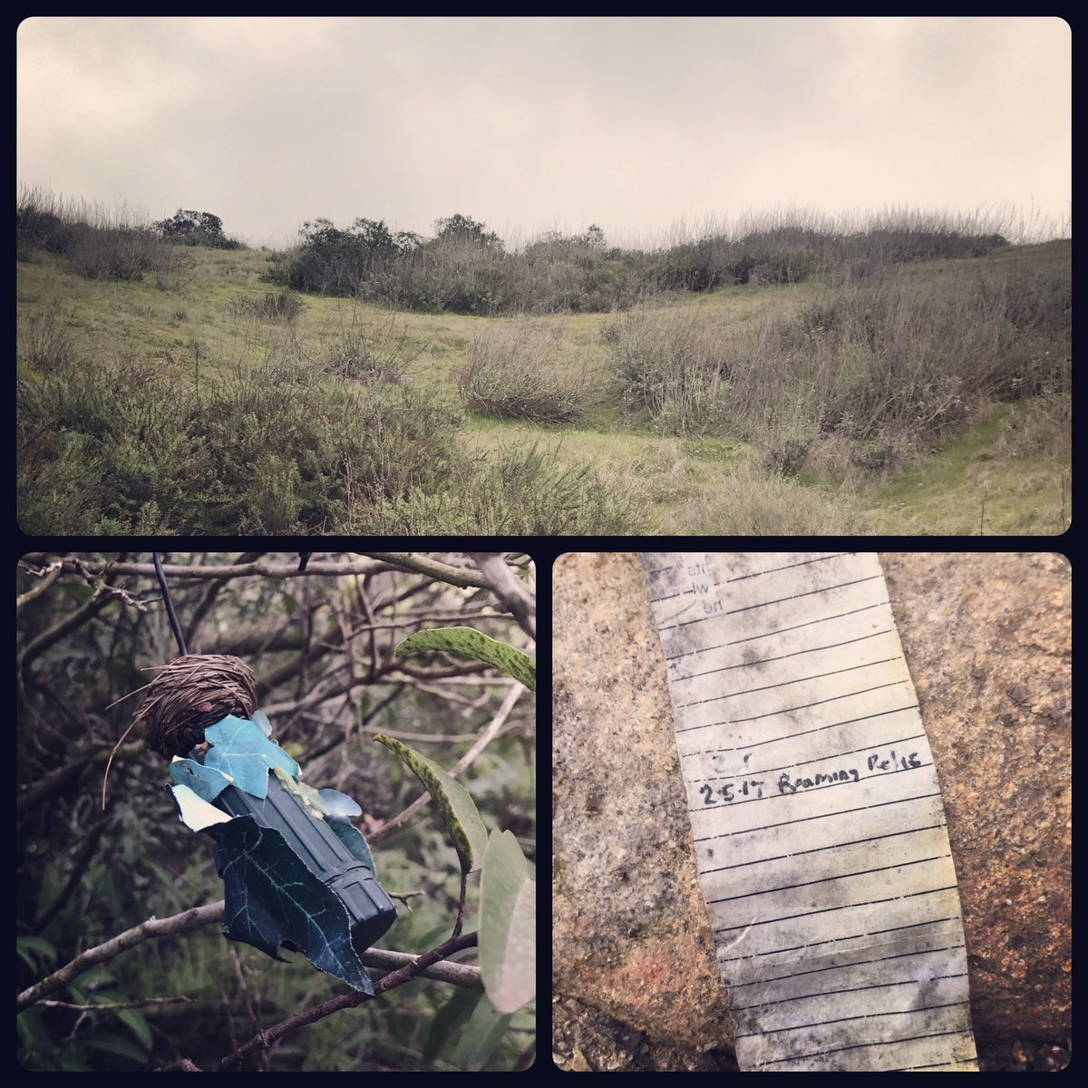 Roaming Relic tweet media