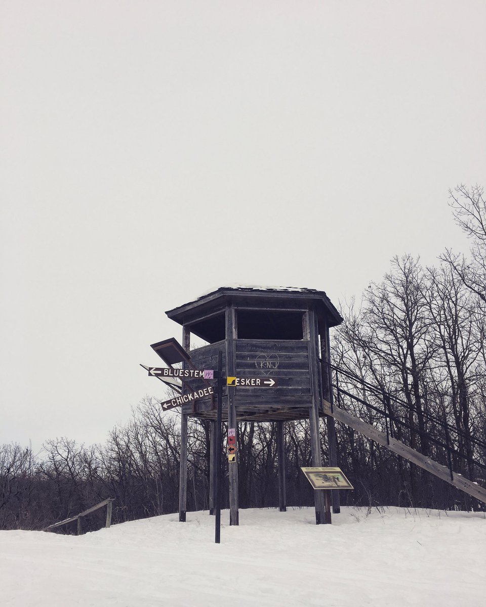 What a great day to get out and #xcountry!