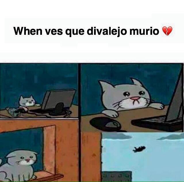 jennifer_dz08's tweet photo. Que carajos contigo @ladivaza yo q tú lo mandaba a la mismísima mierda. @AlejoIgoa #RIPDivalejo #Divalejo #AlejoPuto https://t.co/c2kGjw31BK