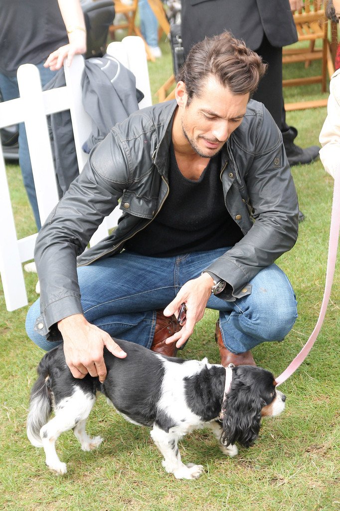 gandyisgod's tweet photo. His hair! (David's, not the puppy's) #puppylove #GandySunday https://t.co/yu5KrkEKd1