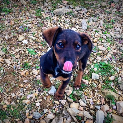 juliigomez69's tweet photo. #NuevaFotoDePerfil https://t.co/p8bV80BFFX