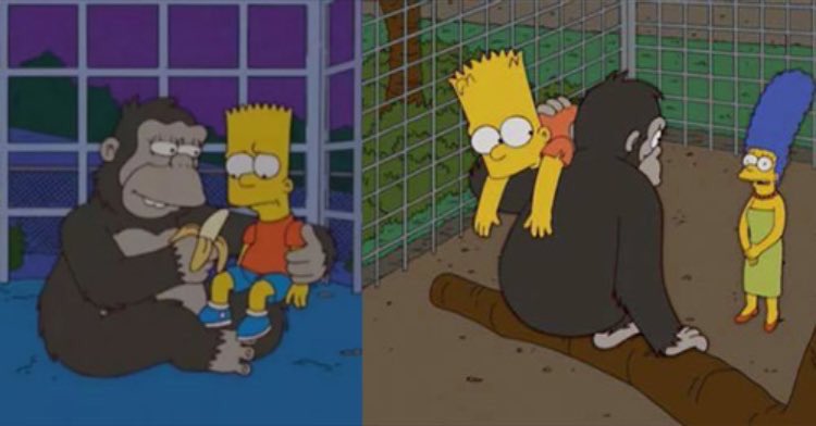 natekgarner's tweet photo. The simpsons have mastered time travel https://t.co/zV1VWTNKH9