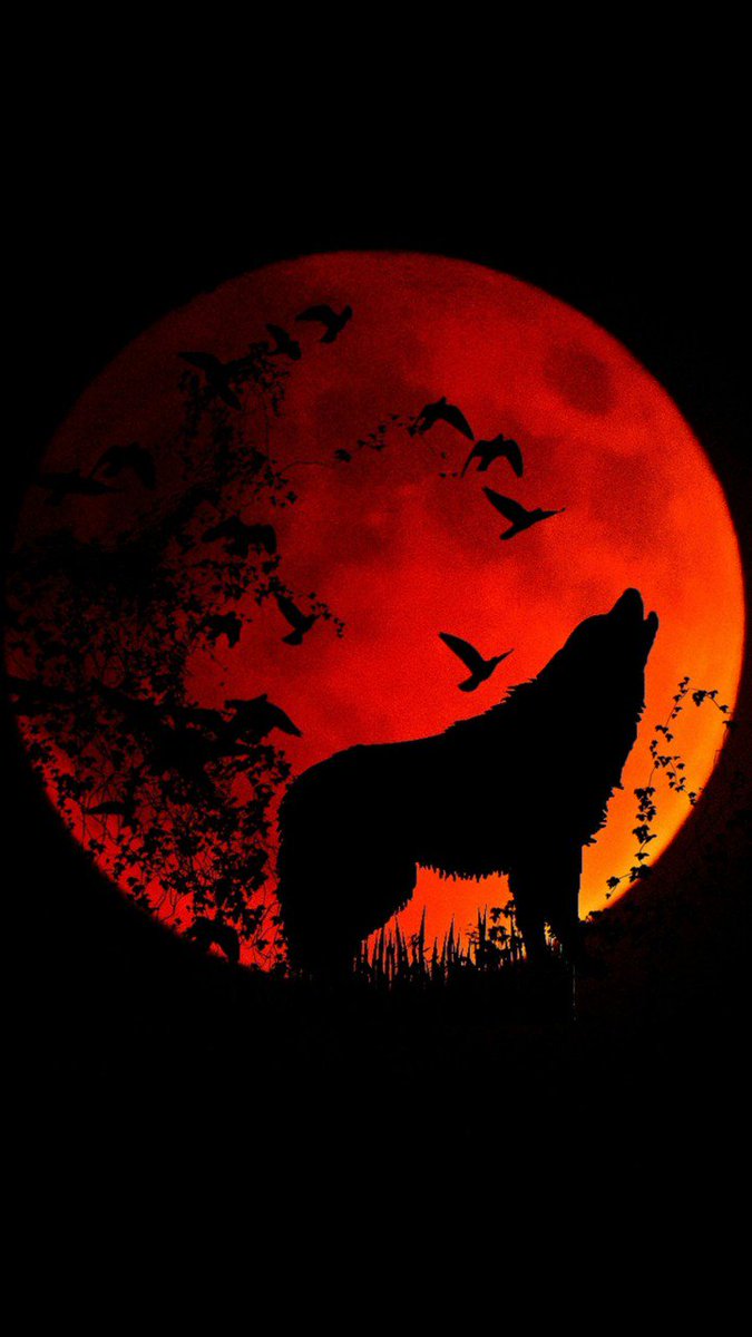 Cool Red Moon Wallpapers  Wallpaper Cave