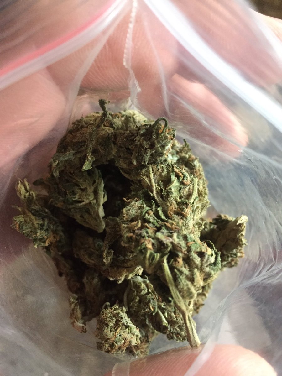 BuyMyWeed (@buy_weed) on Twitter photo 