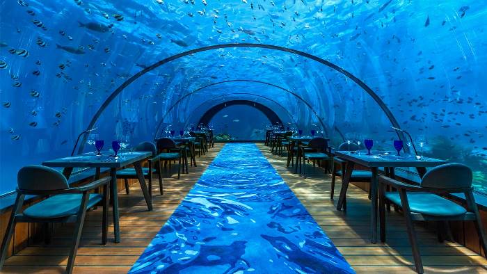 MaldivesVillas's tweet photo. Romance thrives at Hurawalhi https://t.co/8d06zkdyf1 #Maldives #Travel https://t.co/4szoOqzTqc