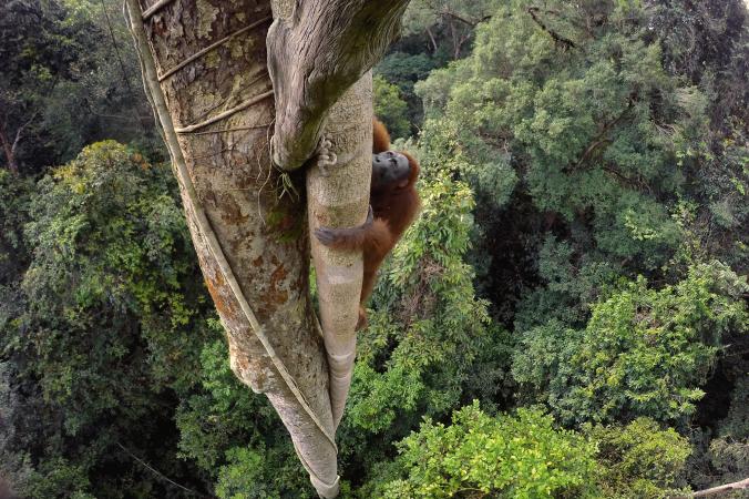 Ullu_co's tweet photo. Best Animal Photos of 2016
https://t.co/DgBltmnBFO 
@NatGeo
#Animal #Photography #Design #Art #Creative #ArtPrint #Poster #Flora #Photo https://t.co/dZ5KLuWNfo