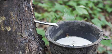 Philippines House of Representatives moves forward with #PhilRubber board rubberjournalasia.com/philippines-ho…  #RJAnews