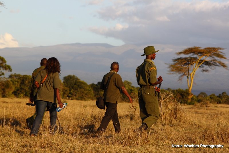 Laikipia is one of Kenya's most exciting wilderness safari and wildlife destination - @laikipiaforum Kenya's High Country.