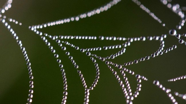 genbeta's tweet photo. La Dark Web ha sido hackeada, caen el 20% de las webs .onion en un acto contra la pornografía infantil https://t.co/2j01Y7me5P https://t.co/hDsTcZhweM