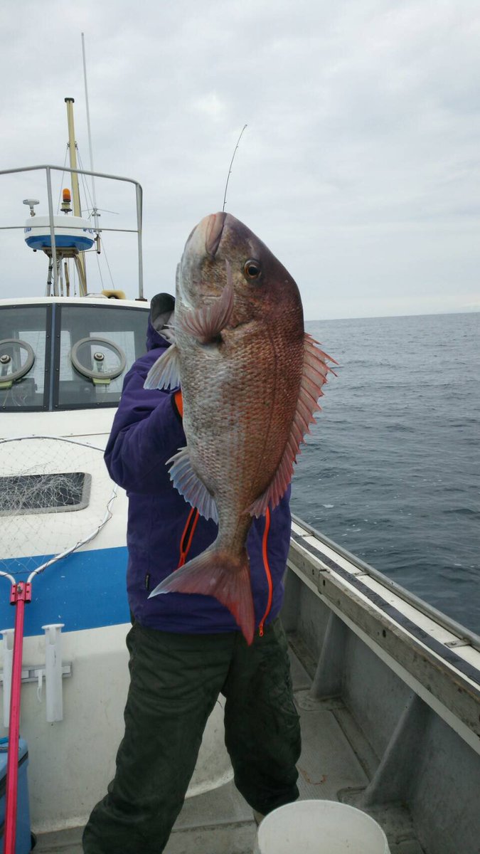 釣り具の館酒田店 Pa Twitter 遊漁船あすかの齋藤船長より 釣果を頂きました 昨日の釣果です 真鯛に青物に多くの釣果ですね 先週末は 天気が落ち着きましたが 本日は荒れていますね これからは 真鯛シーズンですね 当店中古品は新商品多数入荷しています