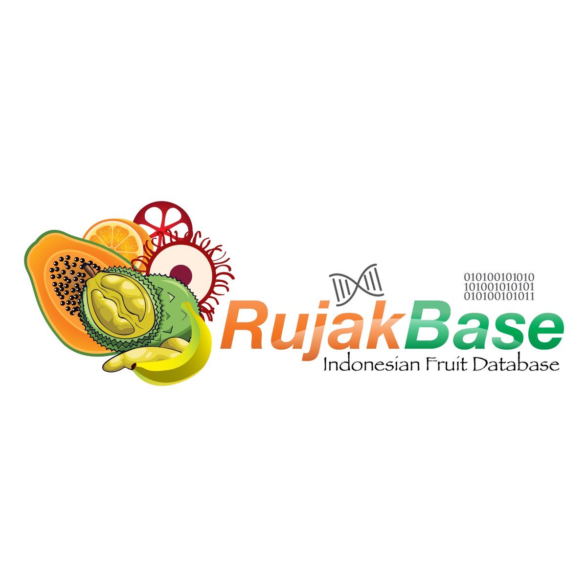 RujakBase's tweet photo. Hi.I'm #RujakBase, I'm an #actuallivingscientist managing a #genomic database for #TropicalFruits native to #Indonesia https://t.co/FcZFGnwi6o