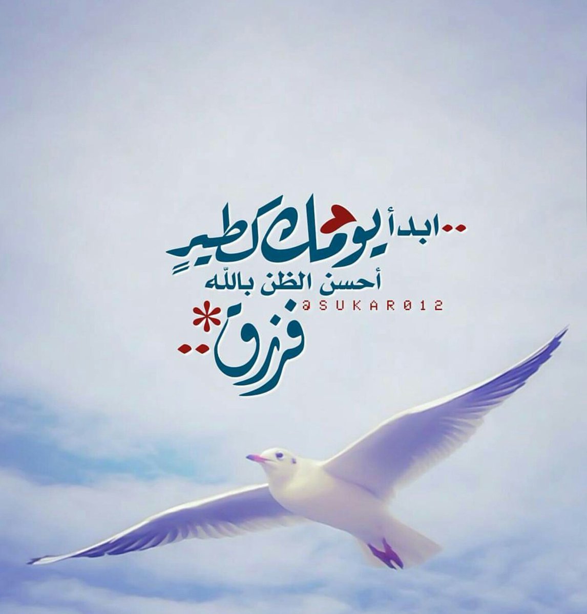 〰🍃حلق بقلبك للسماء🕊

كن راضياً وانظر لطير قد سما بالله

قلبه واثق أبداً بمن رفع السماء

حلق فقط وأبشر بفضل الله يأتي قادما🍃〰

#قروبات_الخير