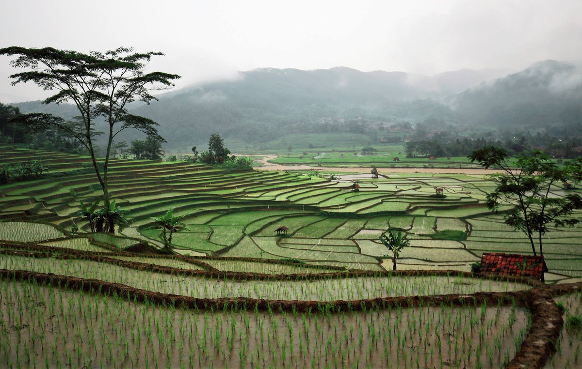 #outoftheboxtourindonesia

salem brebes 
paket tour 087878888138 wa