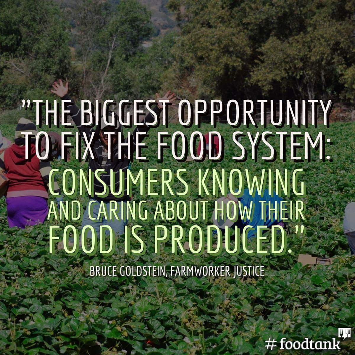 DaniNierenberg's tweet image. Consumer power is helping to heal our food system! This year organic food sales hit a record! Let's continue this trend! #FoodTank