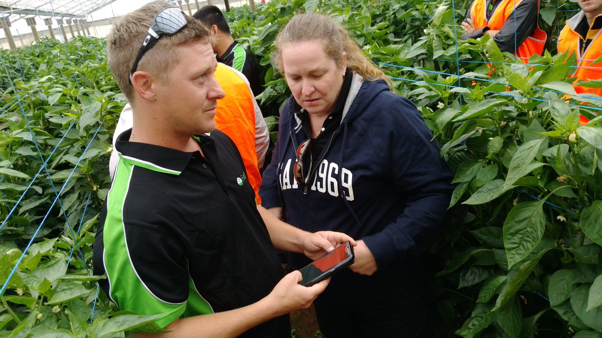 sarlimpus's tweet photo. #FarMate with "Vietnamese Dan" and "Aussie Kev" - great to see such charismatic, young people in hort #BowenGumluVegGrowers #SATour2017 https://t.co/p1cUs5dBbP