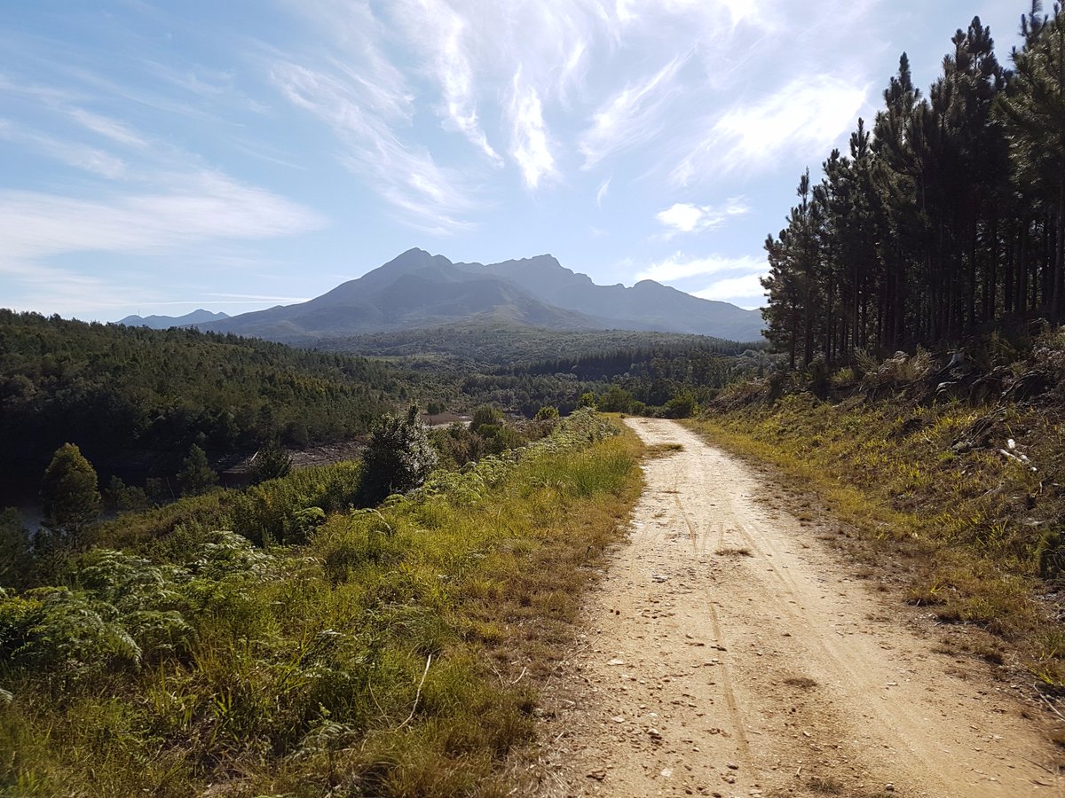 May all your roads lead to happiness and joy this week! #letsplayoutside #georgetrails #trailrepublic #greensport #gardenroute #gotogeorge