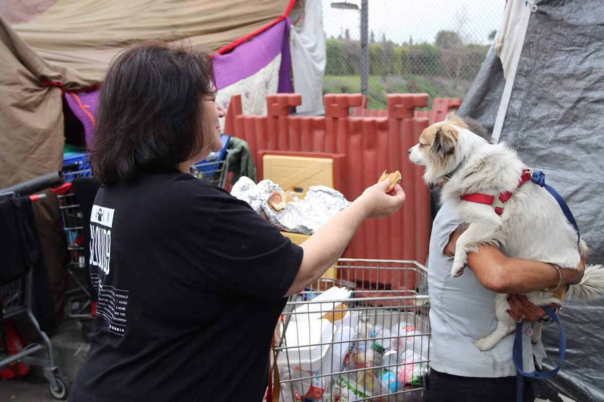 LAonCloud9's tweet photo. Almost every single Homeless encampment had homeless dogs/cats #FeedThePoor #StopHunger #feedhomelessanimals #losangeles #LAonCloud9 https://t.co/OashRpHF0c