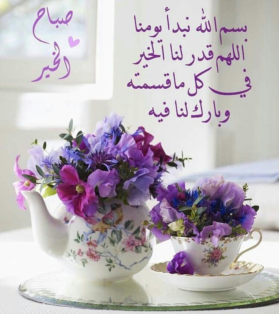 ssss5009's tweet photo. تذهب اشيَاء جميلة ,
      ويعوّضنا الله بِ اجمل منها
     ف َلك الحمد يالله دائما وأبدًا..  ​​​

           أسعد الله صبآحكم 🌸 https://t.co/k7LrdzcqbR
