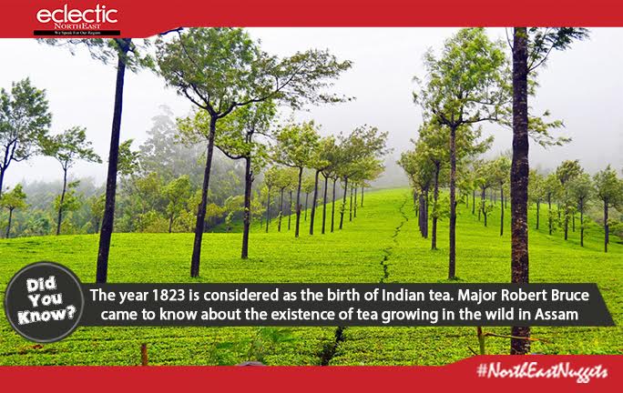 eclectictweets's tweet photo. We bet you didn't know this about #Assam Tea
@AssamAdda @Assam_24X7
#NortheastIndia https://t.co/LzfunCoJBp