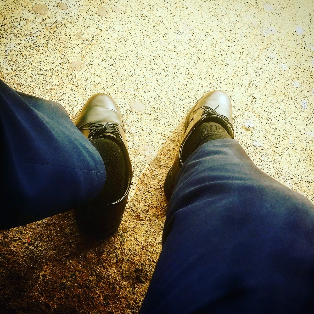 Signa_v tweet picture