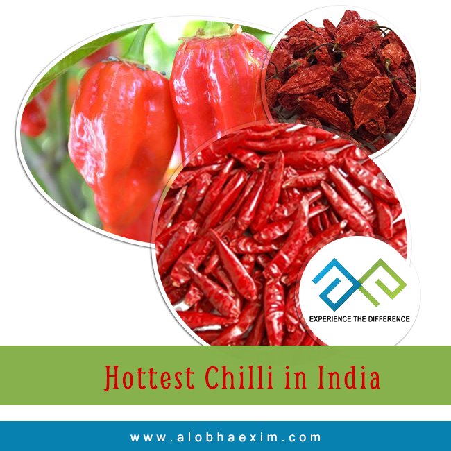 alobhaexim's tweet photo. The finest quality #HotChilli from #AlobhaExim to enhance the spiciness of your food and experience.
visit us @ https://t.co/xiOlq66n0p https://t.co/HgK9M0iqDS
