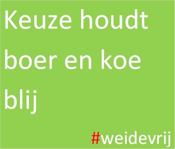 KlazienB's tweet photo. https://t.co/u7uSaVuTwp