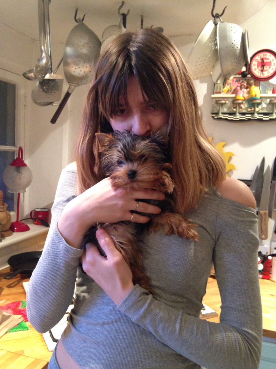nb_florence's tweet photo. My father's new pup! 🐶 https://t.co/nWGBtAifJg
