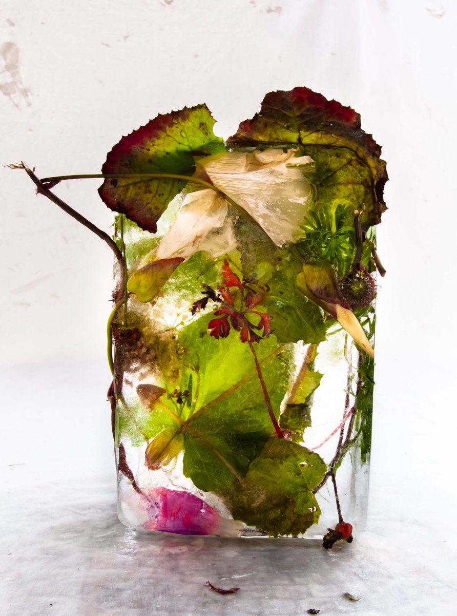 We're delighted to announce that Marisa Culatto, represented by <a href="/molinacontempo/">MOLINA CONTEMPORARY</a>, will be Artist in Residence from 29th Jan to 2nd April.