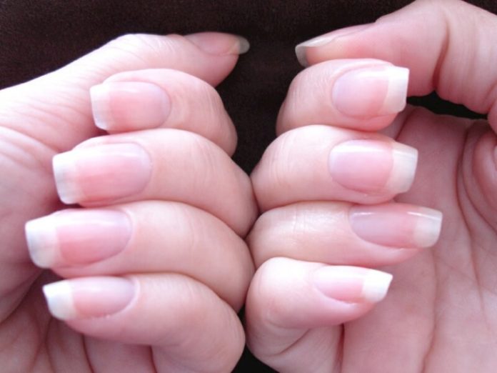 HeraldSpot's tweet photo. Foods to Include in Diet for Healthier &amp; Stronger Nails!
https://t.co/daJbWBefzj
#Foods #Diet #Healthier https://t.co/gsK1ZuRnw6