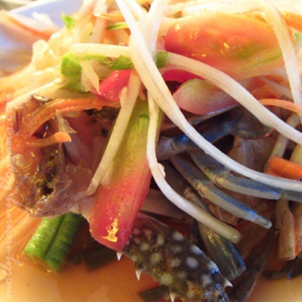 OpenRiceTH's tweet photo. ลายแทงร้านยำมะม่วงปูม้า #ราคาต่ำกว่า100บาท ไม่ต้องไปถึงตลาดห้วยขวาง #openriceth #อร่อยไปแดก #ขายฆ่าใคร คลิ๊ก https://t.co/PKSyFoQv1X https://t.co/JgDNI38pdX