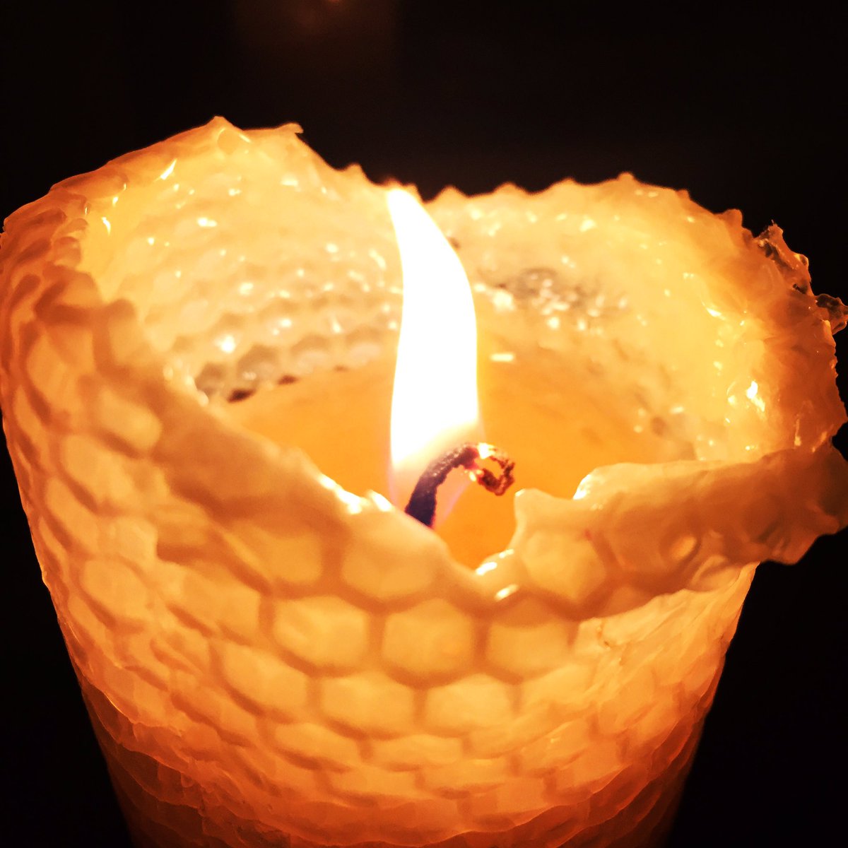 Did you know gazing at a beautiful beeswax flame is awesome for meditation? 🙏🏼#meditation #relaxation #calmdowndear #yogainspiration